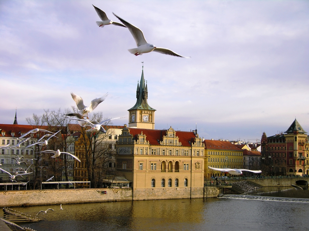 Polish Splendors